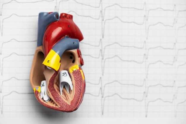 Принцип работы эхокардиографии сердца