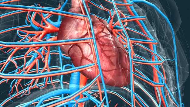Способы лечения неокклюзионного инфаркта кишечника