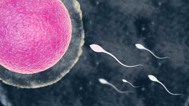 Преимущества культивирования эмбрионов in vitro для здоровья женщин