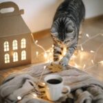 Кошка - защитница дома и не только: секреты и влияние цвета