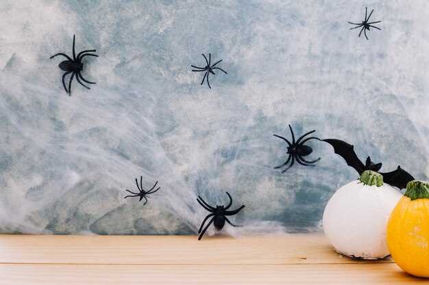 Способы устранения пауков в доме