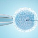 Обновление спермы: срок полной регенерации, процесс восстановления
