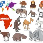 Священные животные стран мира: от Азии до Америки