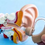 Виды слухов и их особенности