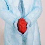 Значимость размера левого желудочка сердца и его норма