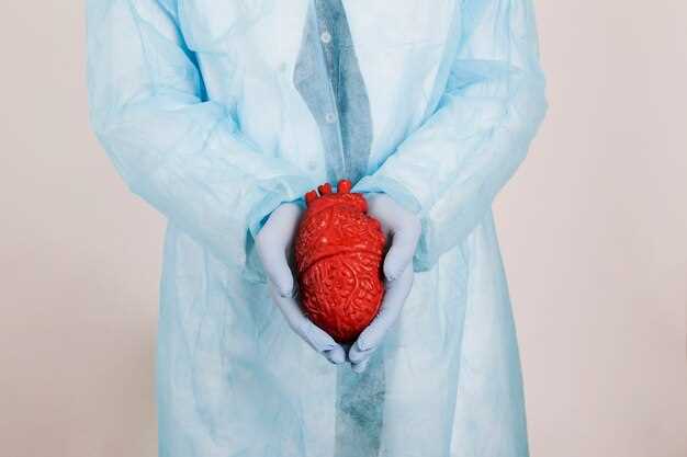 Норма размера левого желудочка сердца